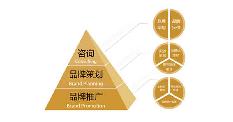 南京亮室文化传播有限公司在数字营销领域不断探索,今天带您走进一场关于最新技术应用的访谈。